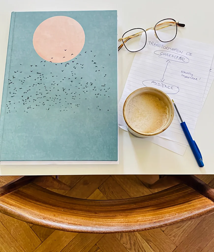 Rozemarijn in 't Veld - Script Support